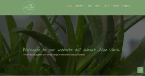 The-Aloe-Vera-Boutique.webp